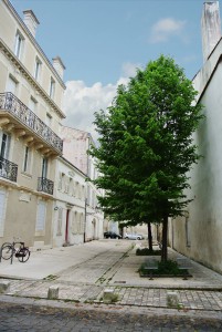 Le square Rasteau à proximité
